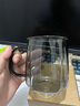 憶壺茶玻璃杯帶把耐高溫隔熱喝水杯家用2025新款男女高顏值泡茶杯綠茶杯 【加厚耐熱】翠影杯400ml 曬單實(shí)拍圖
