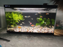 當貝智能生態(tài)魚(yú)缸1Ultra 一體缸自循環(huán)雙過(guò)濾AI托養懶人家用桌面魚(yú)缸 曬單實(shí)拍圖