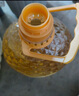 金龍魚 食用油 葵花籽清香型調和油5L （新老包裝隨機發(fā)貨） 曬單實拍圖