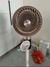 創(chuàng  )維【全屋驅蚊】空氣循環(huán)扇家用電風(fēng)扇落地扇2025新款大風(fēng)量語(yǔ)音遙控輕音節能臥室小風(fēng)扇Q522 白咖色 曬單實(shí)拍圖