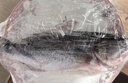 鮮活沖浪河鱸魚400-500g/條 曬單實(shí)拍圖