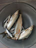 云飛魚無結(jié)主線線組套裝釣魚線主線成品綁好黑坑大物鰱鳙主線組配件漁具 5.4米八字環(huán)款4卷【拉力提升】 1.5號 曬單實拍圖