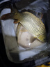 金龍 魚(yú)餌野釣窩料五谷雜糧底窩鯽魚(yú)鯉魚(yú)草魚(yú)青魚(yú)水庫重窩巨物打窩料 巨物霸·餌（2包） 曬單實(shí)拍圖