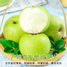 農(nóng)多鮮梨子新鮮水果正宗碭山青梨當季順豐包郵整箱皇冠梨雪梨青皮梨 9斤精選大果（凈重8.5斤） 順豐 曬單實拍圖