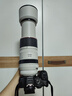 佳能（Canon）RF100-500mm F4.5-7.1 L IS USM 超遠攝變焦鏡頭【濾鏡防護套裝】 曬單實(shí)拍圖