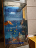 美諾魚(yú)缸客廳半圓型魚(yú)缸屏風(fēng)大中小型家用落地式玻璃金魚(yú)缸生態(tài)免換水 灰色 50*40*138 曬單實(shí)拍圖
