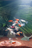 修醫(yī)寵白點(diǎn)凈魚(yú)藥熱帶魚(yú)觀賞魚(yú)魚(yú)缸鸚鵡錦鯉魚(yú)藥寄生蟲(chóng)小瓜蟲(chóng)病300ml 曬單實(shí)拍圖