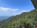 棉滿滿女童襪子夏季薄款新疆棉抗菌透氣純棉網(wǎng)眼兒童夏天女孩卡通中筒襪 曬單實拍圖