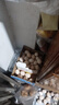 八喜 雪糕 冰淇淋 冰激凌 甜筒組合裝 巧克力口味68g*5支 脆皮甜筒 曬單實拍圖