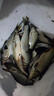 趣玲瓏釣魚太空豆套裝全套組合硅膠特級主線組漁具小配件鉛皮漂座 加購 收藏 聯(lián)系客服送釣魚毛巾 曬單實拍圖
