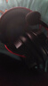 西伯利亞（XIBERIA）K03S 四模無(wú)線(xiàn)游戲耳機頭戴式電競三角洲FPS游戲專(zhuān)用聽(tīng)聲辨位打瓦智顯武士黑【TOP1】 曬單實(shí)拍圖