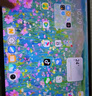 vivo Pad5 Pro 12GB+256GB 寒星灰 國(guó)家補(bǔ)貼 藍(lán)晶×天璣9400 13英寸原彩護(hù)眼屏 12050mAh 平板電腦 曬單實(shí)拍圖