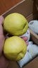 京鮮生 新疆庫爾勒香梨 凈重5斤 單果100g-120g 新鮮水果 源頭直發(fā) 曬單實(shí)拍圖