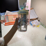 言倉線(xiàn)條小狗隨行杯茶水分離實(shí)用雙飲便攜兒童送女生生日禮物塑料杯 700mL小白款 曬單實(shí)拍圖