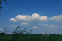 松下S9（18-40mm F4.5-6.3）套機(jī) （Panasonic）全畫幅微單 實(shí)時Lut 濾鏡直出 連接app極速分享-橄欖綠 曬單實(shí)拍圖