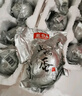 源春 咸鴨蛋 高郵特產(chǎn)熟鴨蛋端午節咸鴨蛋黃咸香流油咸蛋送禮源頭直發(fā) 65gx20枚家庭裝 曬單實(shí)拍圖