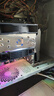 昂達（ONDA）RX550典范4GD5 V5 1071/6000MHz 128bit GDDR5 電腦游戲/家用辦公 顯卡 曬單實拍圖