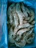 鮮京采 厄瓜多爾白蝦 凈重3斤/盒 特大號20-30規格   30-45只/盒 曬單實(shí)拍圖