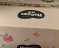 好奇（Huggies）鉑金裝成長褲XXL74片(15kg以上)小桃褲加加大號嬰兒尿不濕超薄 曬單實拍圖