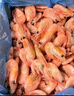 美加佳頭籽熟凍北極甜蝦凈重3斤 90/120規(guī)格 頭籽率95% 熟凍甜蝦 曬單實(shí)拍圖