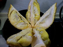 【保4房肉】A級(jí)進(jìn)口金枕鮮榴蓮1粒2-2.5kg(M) 曬單實(shí)拍圖