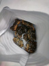 【活蟹】蟹叁鉗莊大閘蟹去繩足重1.8-2.1兩 10只鮮活六月黃鮮活螃蟹水產(chǎn)禮盒源頭直發(fā) 曬單實(shí)拍圖