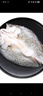 一蝦一世界 三去開背海鱸魚/河鱸魚（去鱗去腮去內(nèi)臟）新鮮冷凍 年貨年夜飯 大號凈重400-500g*4條【海鱸】 曬單實拍圖