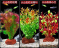 瘋狂水草（FKSC）真水草魚(yú)缸造景套餐凈化水質(zhì)懶人魚(yú)缸水草植物直接入缸蜈蚣草 【火山石】紅紅火火組合3棵 曬單實(shí)拍圖