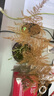喜鵲說(shuō)文竹盆栽綠植室內(nèi)云竹盆景植物四季常青茶桌客廳防輻射花卉好養(yǎng) 文竹-舍得盆-密胺托盤(pán) 帶盆栽好 曬單實(shí)拍圖