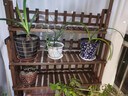 澳洺源花架子鮮花擺放架綠蘿盆景托架階梯式花卉植物整理架多肉置物架 移動(dòng)款 長(zhǎng)90*寬40*高110 曬單實(shí)拍圖