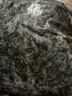 鮮海帶 鹽漬海帶絲 海帶涼拌菜鮮嫩 鹽漬海帶絲500g 曬單實(shí)拍圖