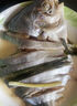 彩雙海深海金鯧魚(yú)干淡曬鯧魚(yú)干風(fēng)干特大金昌魚(yú)干貨海鮮陽(yáng)江特產(chǎn) 【300-350g/條】5條 曬單實(shí)拍圖
