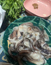 蓋世 冷凍魷魚(yú)須450g 燒烤火鍋食材 海鮮水產(chǎn) 二本足魷魚(yú)須 曬單實(shí)拍圖