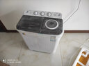 小鴨牌洗衣機半自動雙桶雙缸家用大容量小型租房宿舍波輪脫水甩干兩用雙杠省電老式強動力易操作以舊換新 8.5公斤【洗5.5+脫3.0｜強勁電機全國聯(lián)?！?曬單實拍圖