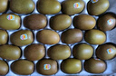 佳沛（zespri）新西蘭  陽(yáng)光金果25-27粒原箱單果122-146g  中秋水果禮盒 獼猴桃 曬單實(shí)拍圖