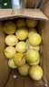 京鮮生 欽蜜9號黃金百香果 5斤單果90g+ /20-30個(gè) 生鮮水果 源頭直發(fā) 曬單實(shí)拍圖