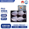 海鼎紀 舟山海捕大號銀鯧魚(yú)400g*2包 4條/包 生鮮魚(yú)類(lèi) 中秋 曬單實(shí)拍圖