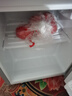 新飛冰箱家用一級能效 租房用小型二門(mén)電冰箱冷藏冷凍兩用1-2人雙門(mén)小冰箱辦公室迷你小戶(hù)型 【一級能效】58A118銀色+店長(cháng)推薦 曬單實(shí)拍圖