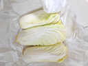 云南高山娃娃菜新鮮當季娃娃菜3顆裝新鮮蔬菜生鮮 新鮮娃娃菜1*(3棵)*2包 曬單實拍圖