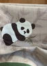 潔麗雅（Grace）純棉枕巾全棉紗布防脫落枕頭巾四季枕芯蓋巾 泰迪狗 曬單實(shí)拍圖