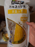 北緯47°黃糯玉米4斤(200g*10根)東北甜黏鮮玉米棒真空包裝  早餐苞米 曬單實拍圖