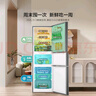 海信小冰箱252L家用一級能效小型節(jié)能無霜三開門租房家電國家補(bǔ)貼20%BCD-252WYK1DPUJ 曬單實拍圖