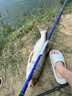 吳亞釣魚(yú)餌料浮底抽芯套裝顆粒餌料鯽魚(yú)鯉魚(yú)鰱鳙大物窩料黑坑神器 浮底抽心二代果味1400g 曬單實(shí)拍圖