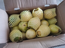 京鮮生 欽蜜9號黃金百香果 5斤單果90g+ /20-30個(gè) 生鮮水果 源頭直發(fā) 曬單實(shí)拍圖