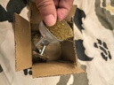 雷蒙鋼絲刷圓柄帶桿打磨除銹拋光去毛刺鋼絲輪電磨機打磨鋼刷頭5件套 曬單實拍圖