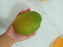 京覓 攀枝花凱特芒果 凈重8斤 單果400g+ 現摘生鮮新鮮水果 源頭直發(fā)  曬單實(shí)拍圖