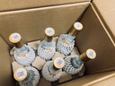 汾酒【官方正品】53度玻汾 清香型白酒 黃蓋紅蓋杏花村純糧釀造白酒 53度 475mL 6瓶 黃蓋玻汾原箱 曬單實(shí)拍圖
