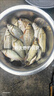 神鯊攻湖7.2米魚竿超輕超硬碳素釣魚竿手竿28調(diào)臺(tái)釣竿鯉魚桿漁具套裝 曬單實(shí)拍圖