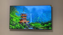 東芝小芝士75Z600NF PRO 音畫(huà)雙芯Mini LED  AI電視 240Hz4K 智能平板液晶游戲電視機以舊換新家電補貼 75英寸 75Z600NF PRO 曬單實(shí)拍圖