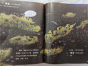 鯨落 曬單實(shí)拍圖